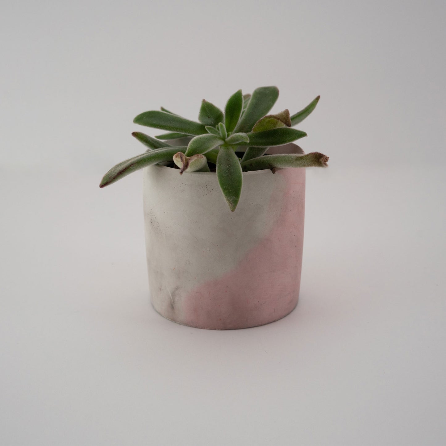 Concrete Planter